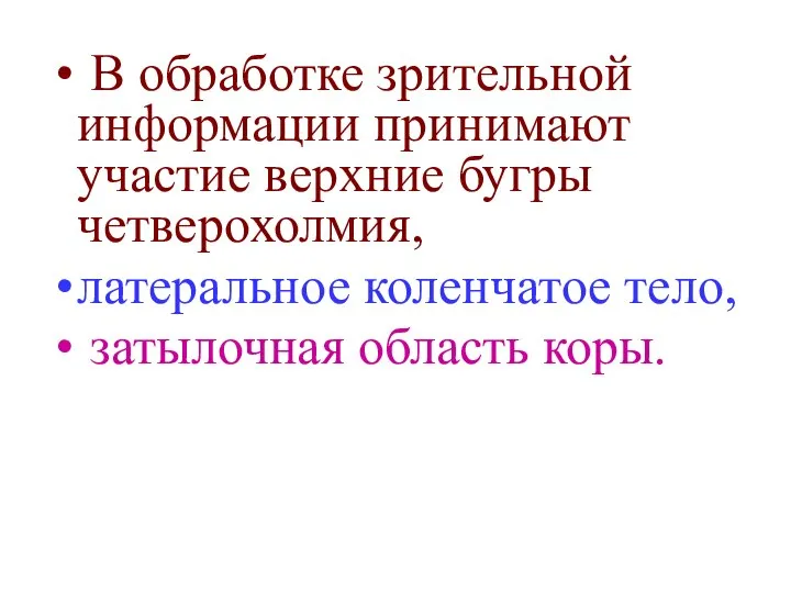 В обработке зрительной информации принимают участие верхние бугры четверохолмия, латеральное коленчатое тело, затылочная область коры.