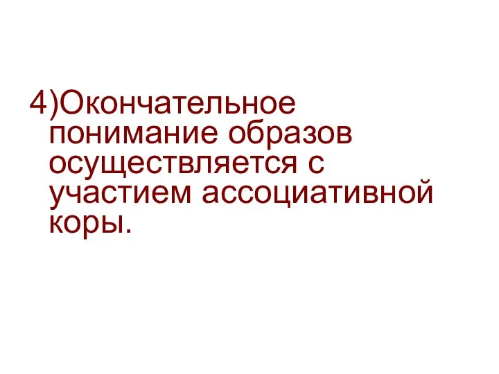 4)Окончательное понимание образов осуществляется с участием ассоциативной коры.