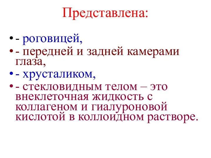 Представлена: - роговицей, - передней и задней камерами глаза, - хрусталиком,