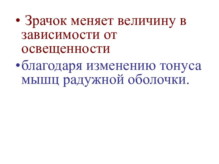 Зрачок меняет величину в зависимости от освещенности благодаря изменению тонуса мышц радужной оболочки.