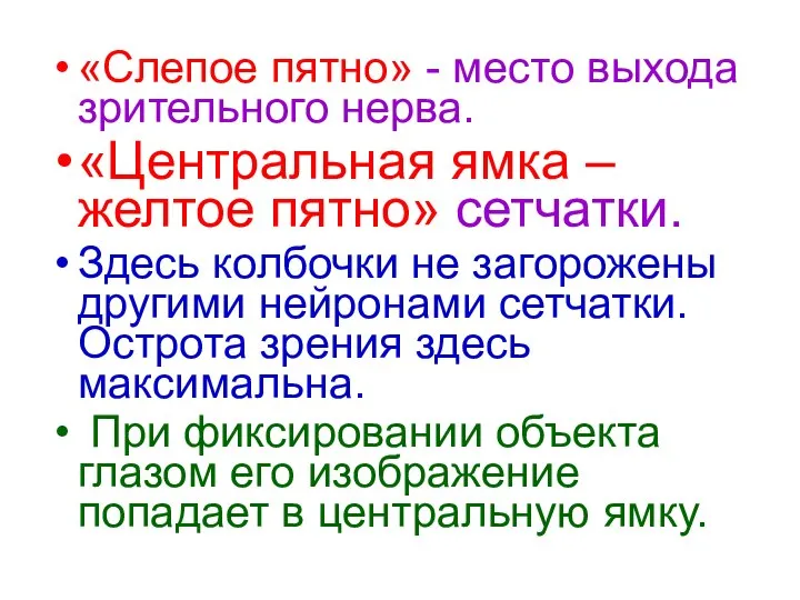 «Слепое пятно» - место выхода зрительного нерва. «Центральная ямка – желтое