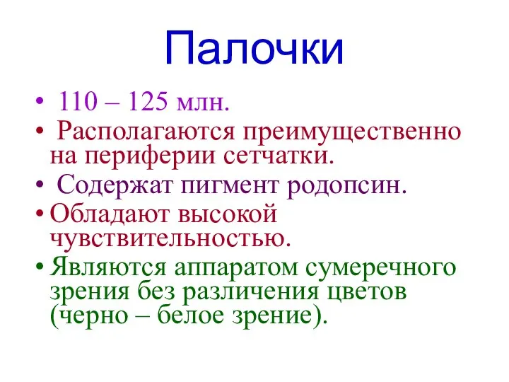 Палочки 110 – 125 млн. Располагаются преимущественно на периферии сетчатки. Содержат