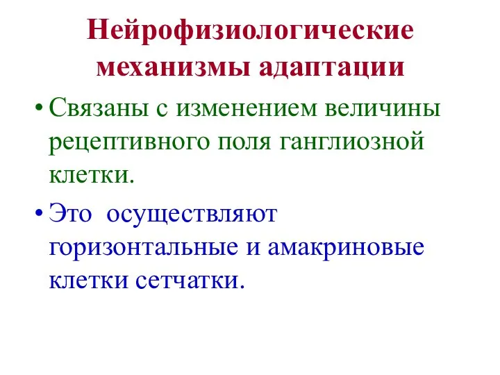 Нейрофизиологические механизмы адаптации Связаны с изменением величины рецептивного поля ганглиозной клетки.