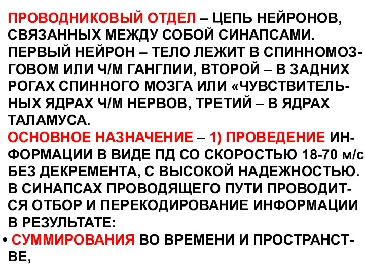 ПРОВОДНИКОВЫЙ ОТДЕЛ – ЦЕПЬ НЕЙРОНОВ, СВЯЗАННЫХ МЕЖДУ СОБОЙ СИНАПСАМИ. ПЕРВЫЙ НЕЙРОН