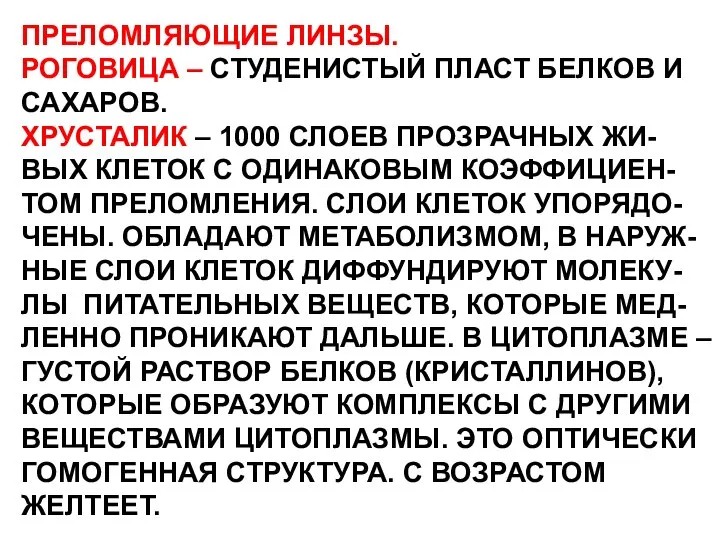 ПРЕЛОМЛЯЮЩИЕ ЛИНЗЫ. РОГОВИЦА – СТУДЕНИСТЫЙ ПЛАСТ БЕЛКОВ И САХАРОВ. ХРУСТАЛИК –