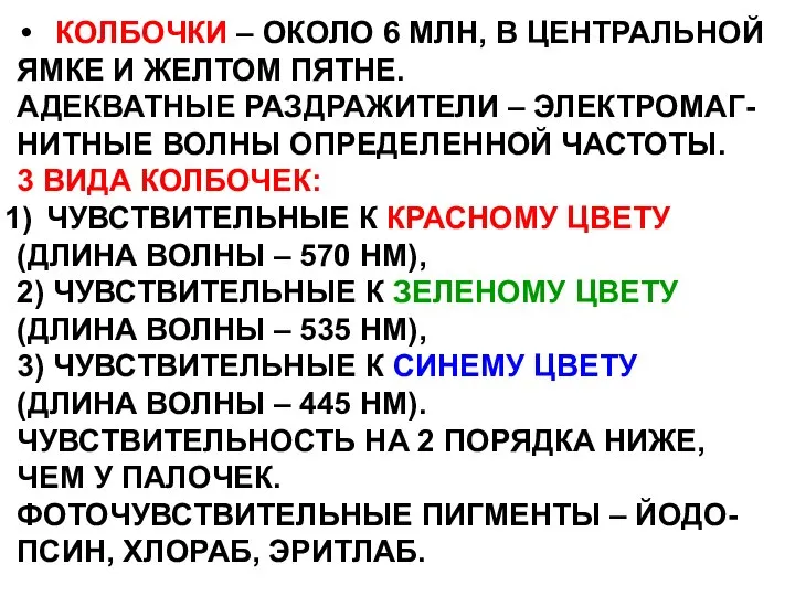 КОЛБОЧКИ – ОКОЛО 6 МЛН, В ЦЕНТРАЛЬНОЙ ЯМКЕ И ЖЕЛТОМ ПЯТНЕ.