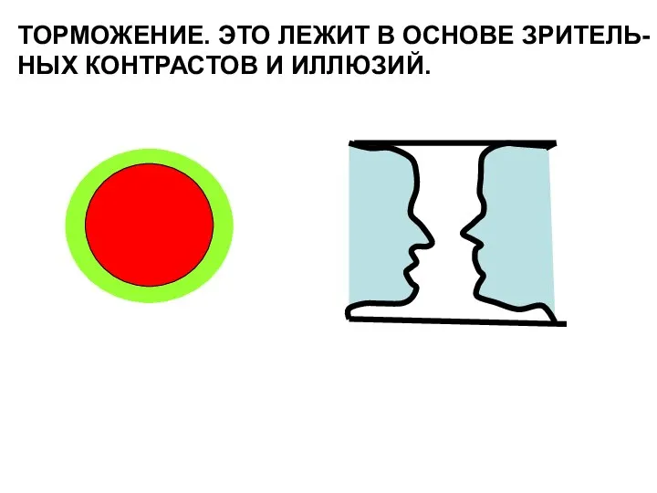 ТОРМОЖЕНИЕ. ЭТО ЛЕЖИТ В ОСНОВЕ ЗРИТЕЛЬ- НЫХ КОНТРАСТОВ И ИЛЛЮЗИЙ.