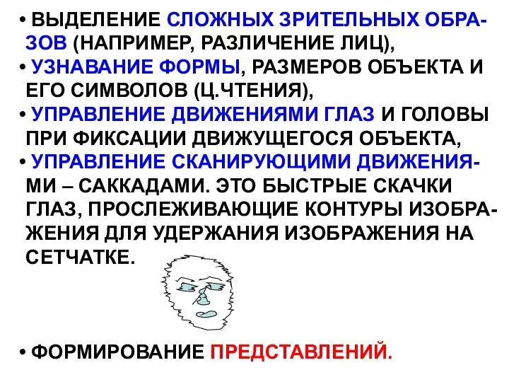 ВЫДЕЛЕНИЕ СЛОЖНЫХ ЗРИТЕЛЬНЫХ ОБРА- ЗОВ (НАПРИМЕР, РАЗЛИЧЕНИЕ ЛИЦ), УЗНАВАНИЕ ФОРМЫ, РАЗМЕРОВ