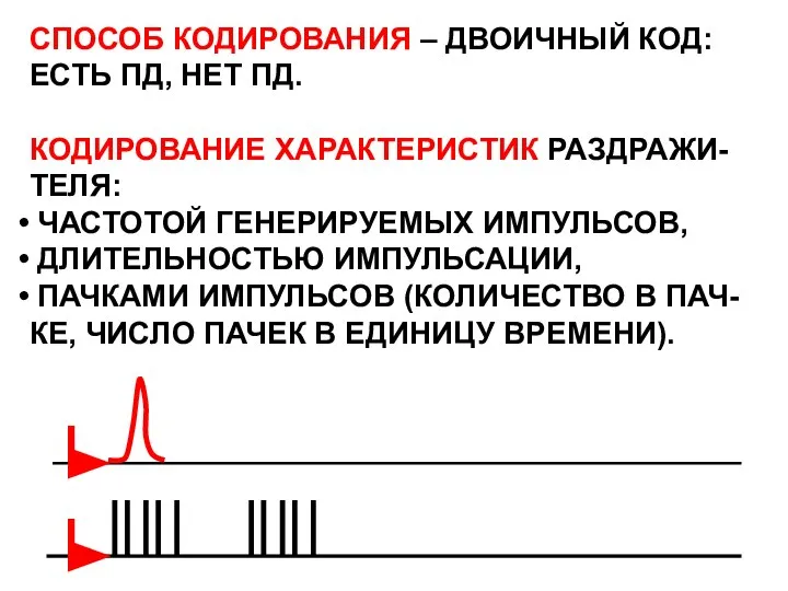 СПОСОБ КОДИРОВАНИЯ – ДВОИЧНЫЙ КОД: ЕСТЬ ПД, НЕТ ПД. КОДИРОВАНИЕ ХАРАКТЕРИСТИК