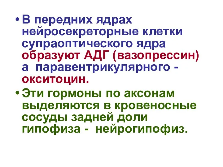 В передних ядрах нейросекреторные клетки супраоптического ядра образуют АДГ (вазопрессин) а