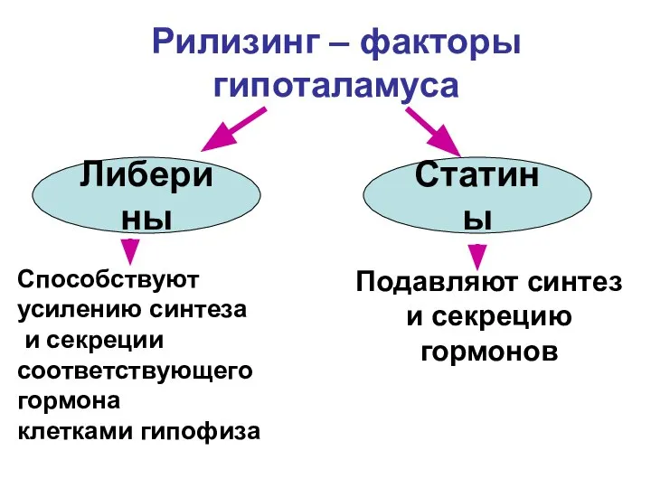 Рилизинг – факторы гипоталамуса Либерины Статины Способствуют усилению синтеза и секреции