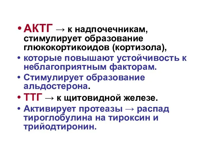 АКТГ → к надпочечникам, стимулирует образование глюкокортикоидов (кортизола), которые повышают устойчивость