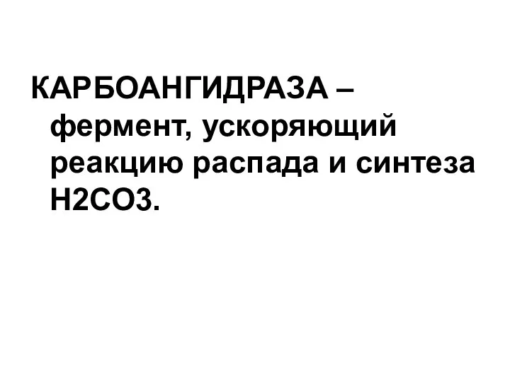 КАРБОАНГИДРАЗА – фермент, ускоряющий реакцию распада и синтеза Н2СО3.