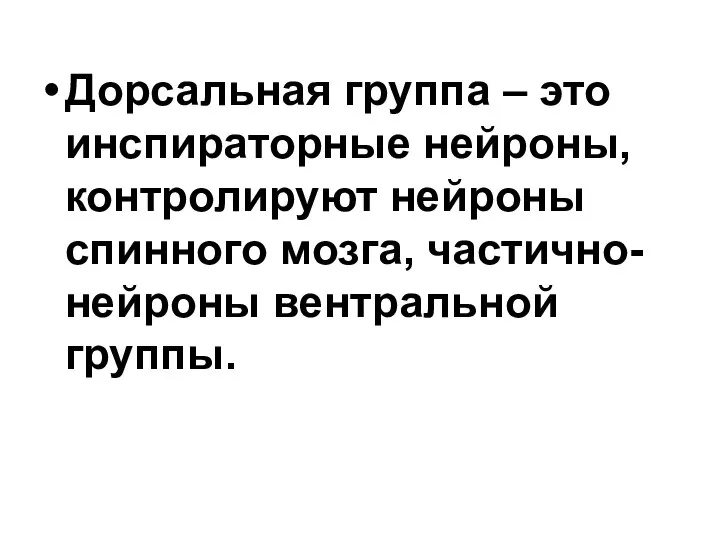 Дорсальная группа – это инспираторные нейроны, контролируют нейроны спинного мозга, частично- нейроны вентральной группы.