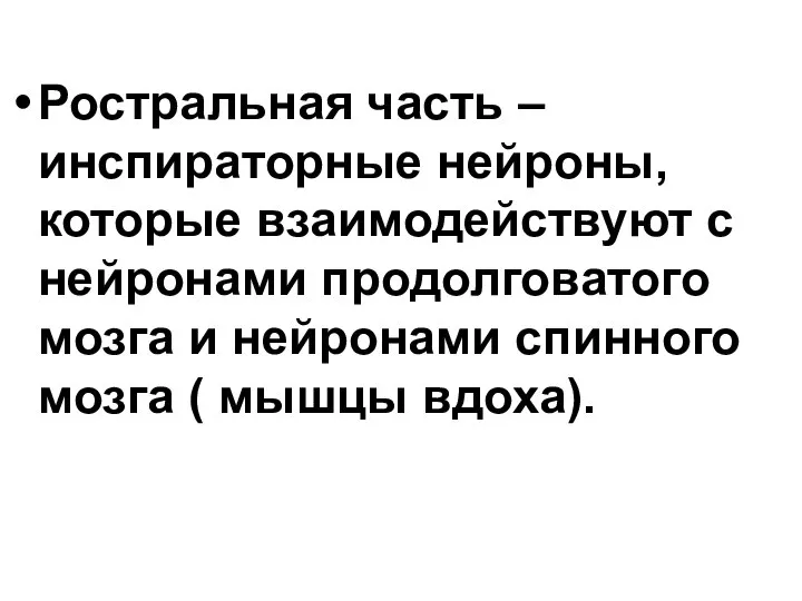 Ростральная часть – инспираторные нейроны, которые взаимодействуют с нейронами продолговатого мозга