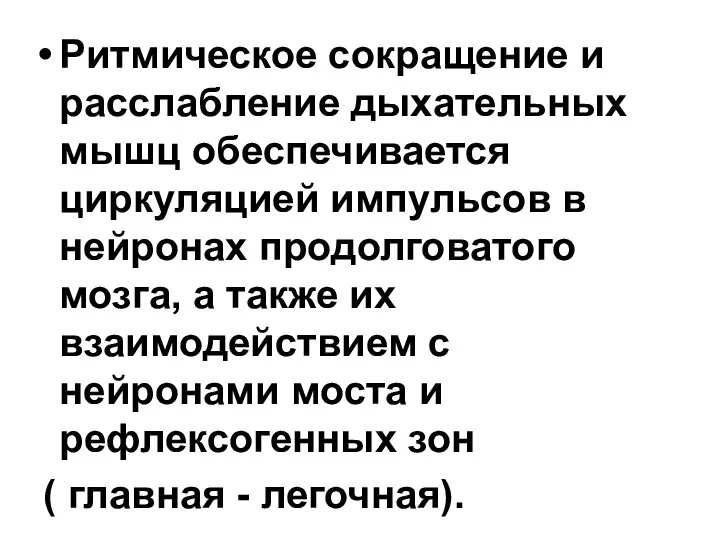 Ритмическое сокращение и расслабление дыхательных мышц обеспечивается циркуляцией импульсов в нейронах