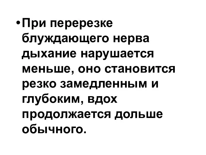 При перерезке блуждающего нерва дыхание нарушается меньше, оно становится резко замедленным