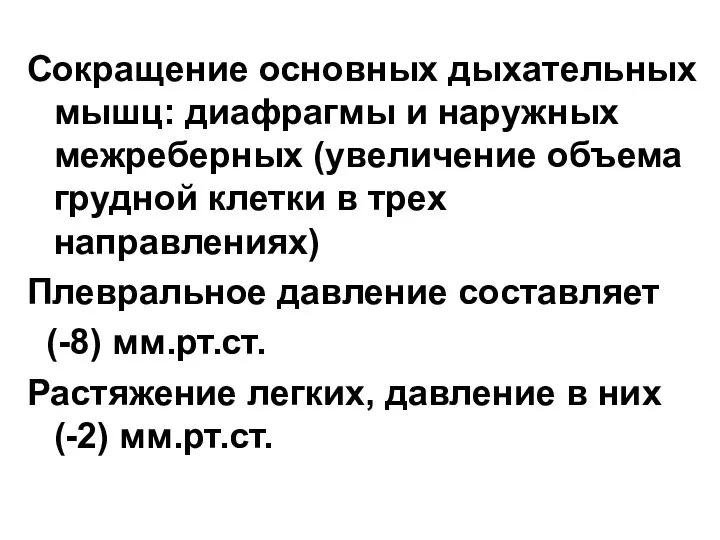 Сокращение основных дыхательных мышц: диафрагмы и наружных межреберных (увеличение объема грудной