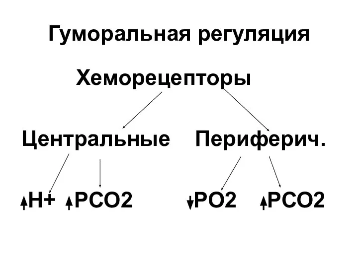 Гуморальная регуляция Хеморецепторы Центральные Периферич. Н+ РСО2 РО2 РСО2