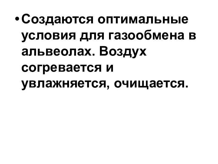 Создаются оптимальные условия для газообмена в альвеолах. Воздух согревается и увлажняется, очищается.