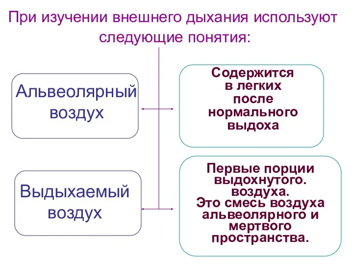 Содержится в легких после нормального выдоха Альвеолярный воздух При изучении внешнего