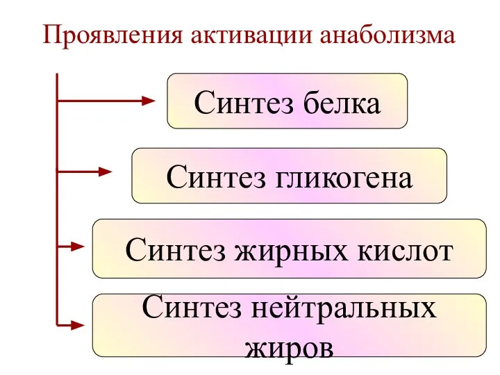 Проявления активации анаболизма Синтез гликогена Синтез жирных кислот Синтез нейтральных жиров Синтез белка