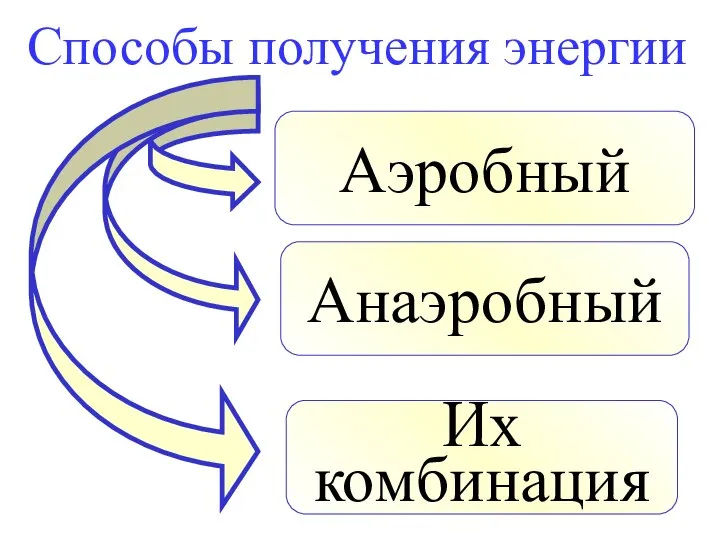 Способы получения энергии Аэробный Анаэробный Их комбинация