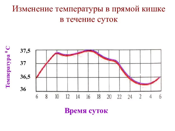 Изменение температуры в прямой кишке в течение суток Время суток Температура