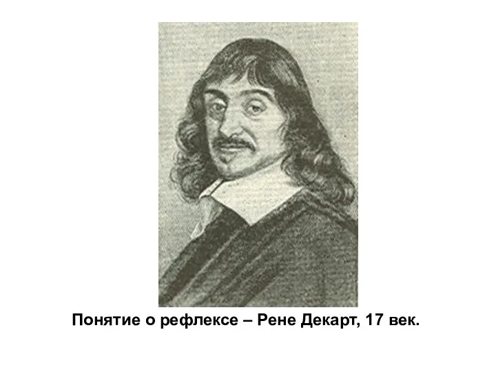 Понятие о рефлексе – Рене Декарт, 17 век.