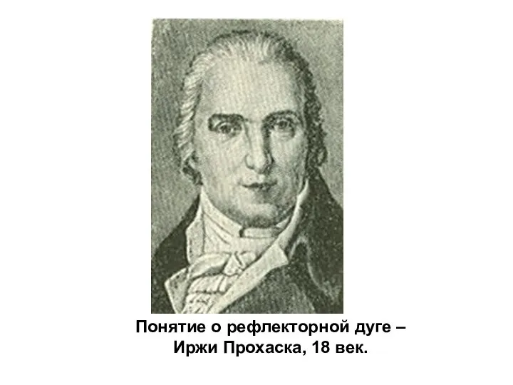 Понятие о рефлекторной дуге – Иржи Прохаска, 18 век.