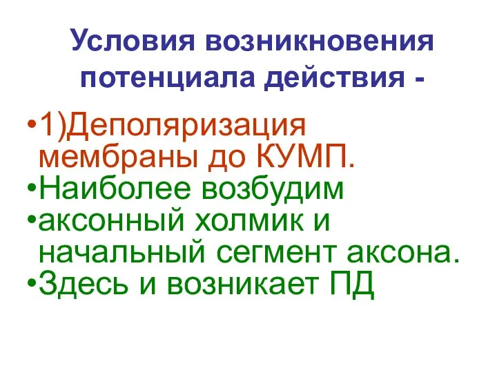 1)Деполяризация мембраны до КУМП. Наиболее возбудим аксонный холмик и начальный сегмент