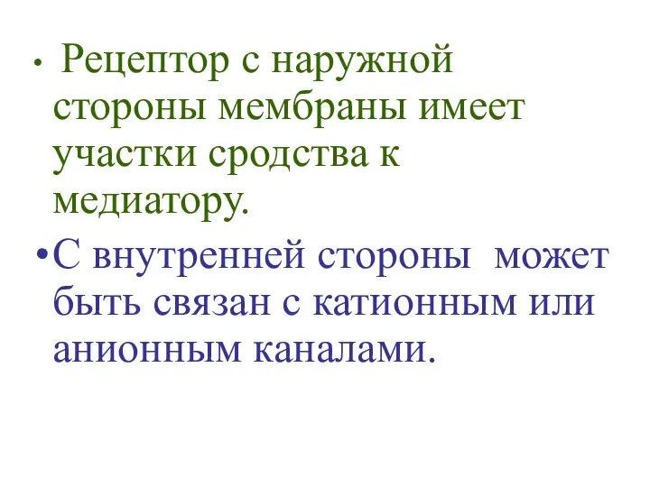 Рецептор с наружной стороны мембраны имеет участки сродства к медиатору. С