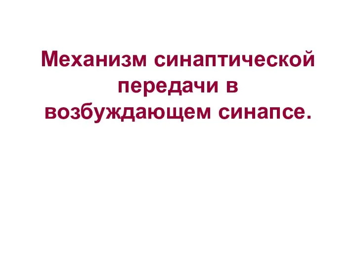 Механизм синаптической передачи в возбуждающем синапсе.