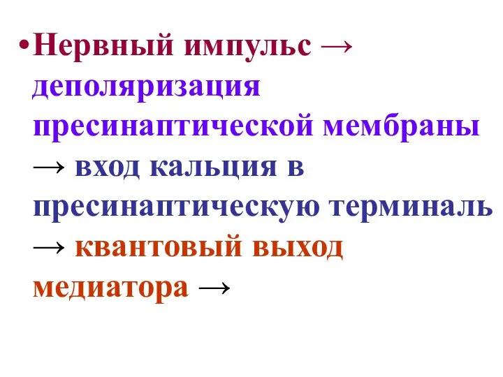 Нервный импульс → деполяризация пресинаптической мембраны → вход кальция в пресинаптическую