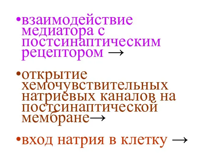 взаимодействие медиатора с постсинаптическим рецептором → открытие хемочувствительных натриевых каналов на