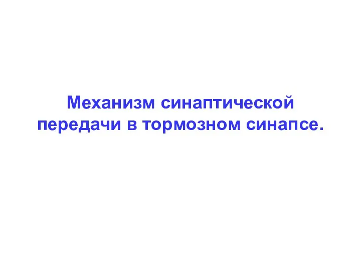 Механизм синаптической передачи в тормозном синапсе.