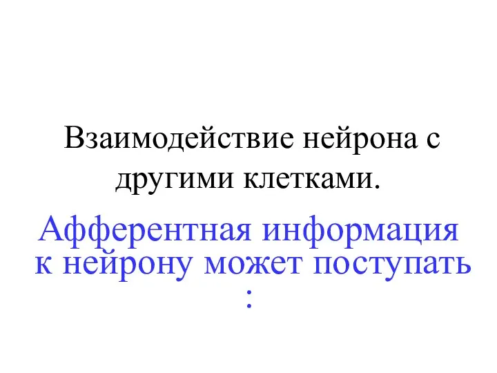 Взаимодействие нейрона с другими клетками. Афферентная информация к нейрону может поступать :