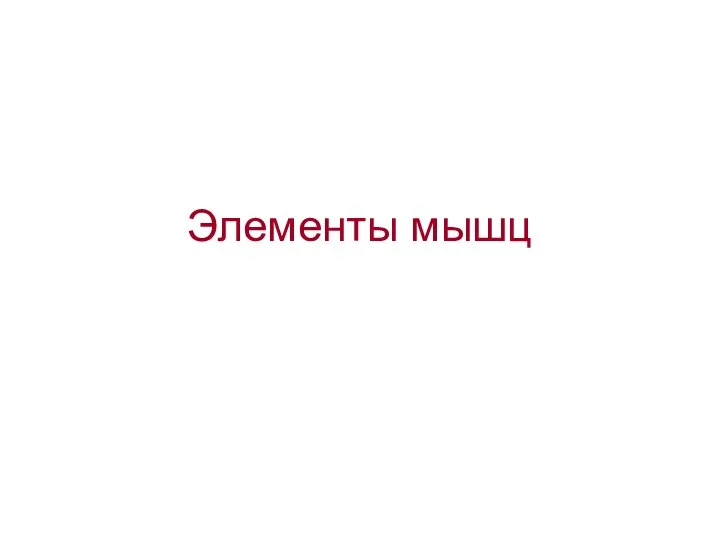 Элементы мышц