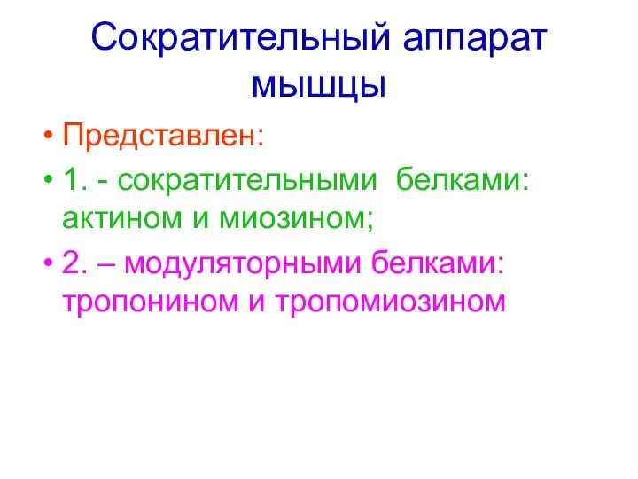 Сократительный аппарат мышцы Представлен: 1. - сократительными белками: актином и миозином;