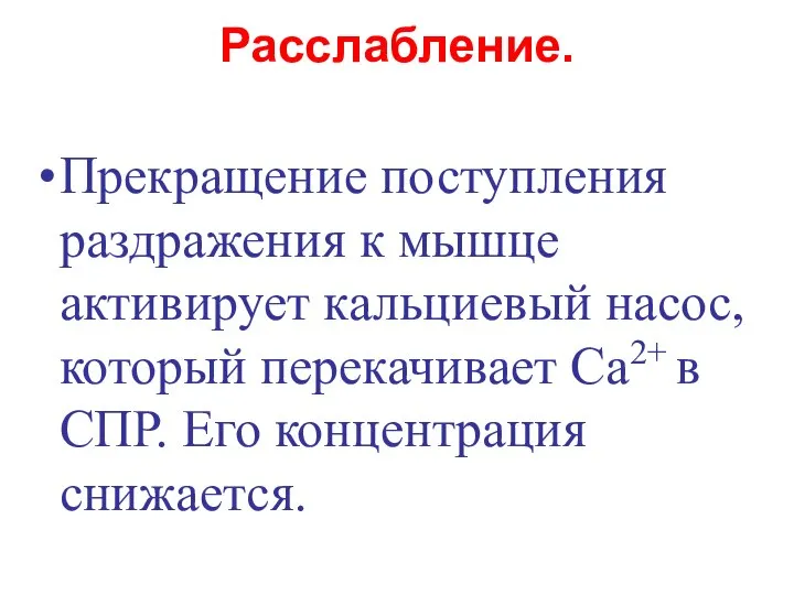 Расслабление. Прекращение поступления раздражения к мышце активирует кальциевый насос, который перекачивает