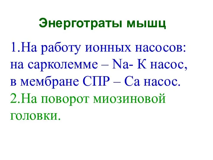 Энерготраты мышц 1.На работу ионных насосов: на сарколемме – Na- К