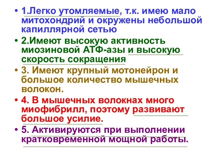 1.Легко утомляемые, т.к. имею мало митохондрий и окружены небольшой капиллярной сетью