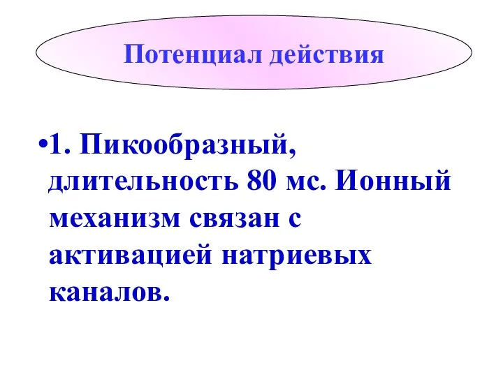 Потенциал действия 1. Пикообразный, длительность 80 мс. Ионный механизм связан с активацией натриевых каналов.