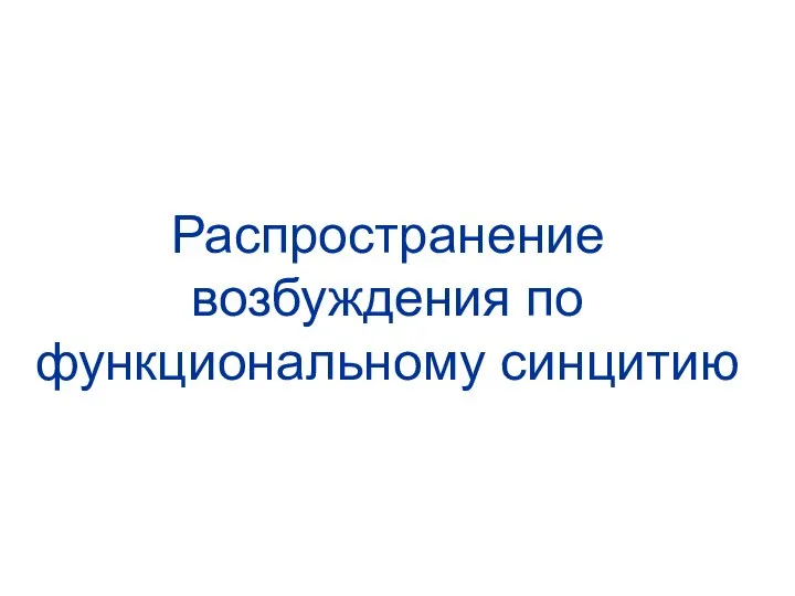 Распространение возбуждения по функциональному синцитию