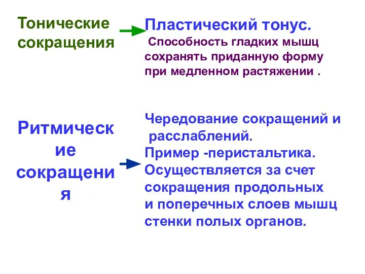 Пластический тонус. Способность гладких мышц сохранять приданную форму при медленном растяжении