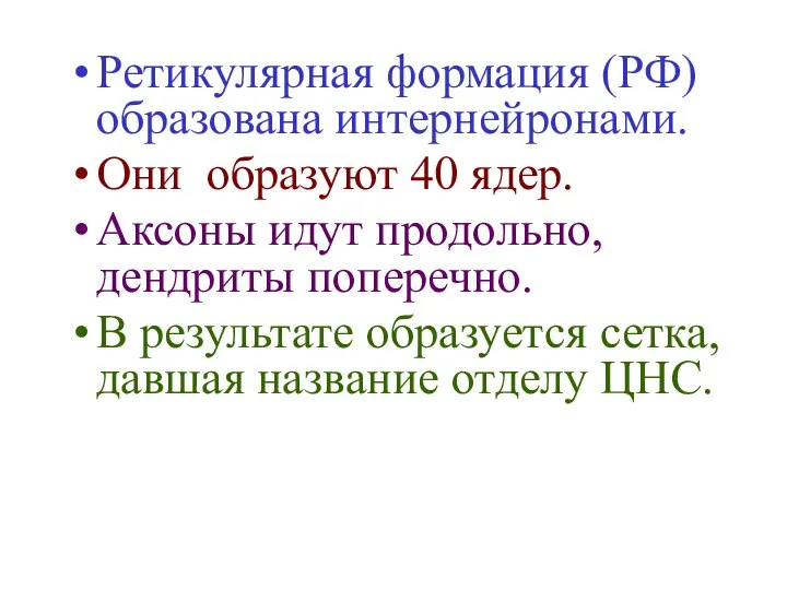 Ретикулярная формация (РФ) образована интернейронами. Они образуют 40 ядер. Аксоны идут