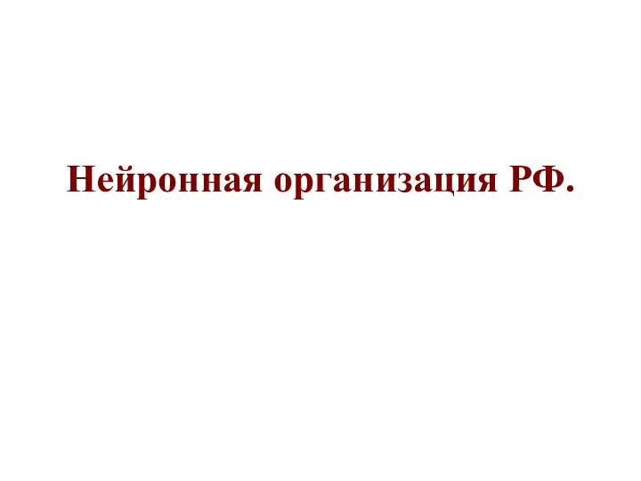 Нейронная организация РФ.