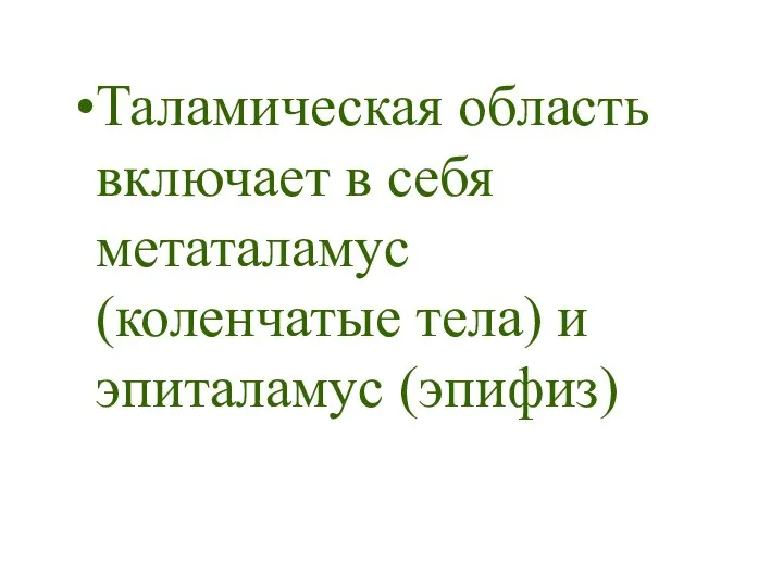 Таламическая область включает в себя метаталамус (коленчатые тела) и эпиталамус (эпифиз)