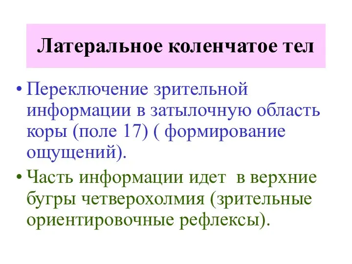 Переключение зрительной информации в затылочную область коры (поле 17) ( формирование