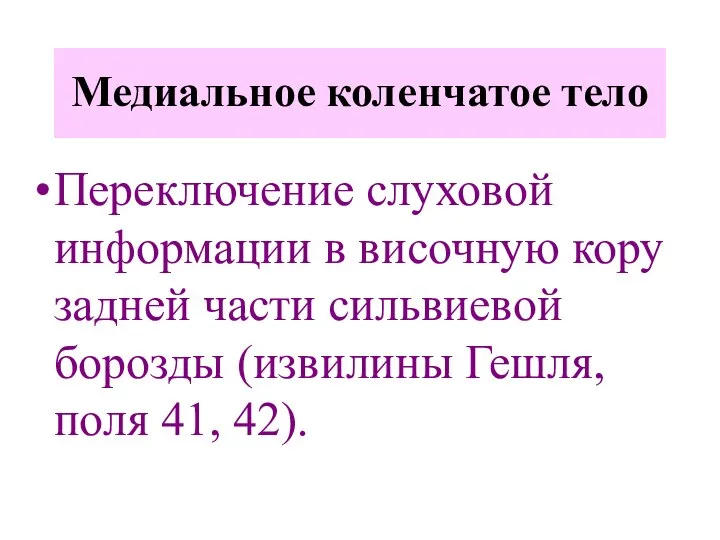 Переключение слуховой информации в височную кору задней части сильвиевой борозды (извилины